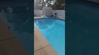 Our pool is blue again and I can't wait to get in it 🏊&zwj;♀️🥰  #pool #summer #sunshine #peace #blessed