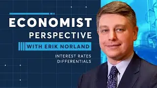 Economist Perspective: Interest Rate Differentials