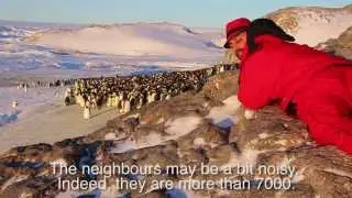 For Sale - Antarctic Film Festival 2015