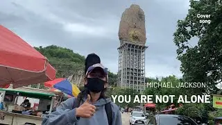 You Are Not Alone, Michael Jackson | fingerstyle guitar (cover)