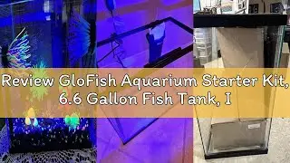 Review GloFish Aquarium Starter Kit, 6.6 Gallon Fish Tank, Includes Blue & White LED Lights, Tetra W
