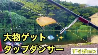 タップダンサーで大物ゲット‼️【ティモン】【すそぱミックス】【エリアトラウト】【管理釣り場】【管釣り】