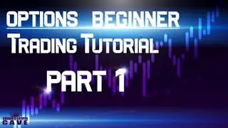 Options Beginner Trading Tutorial - The Call (Part: 1)