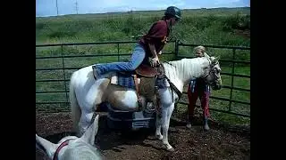 COLT STARTING #horseridingtraining  #coltstarting #horses #montana #horsemanship
