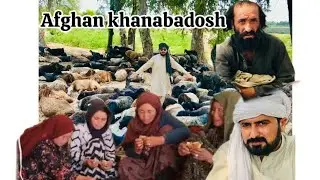 Afghanistan to Pakistan travel 🇵🇰| afghan khanabadosh people| #aliderywaal