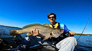 Jewfish in Lake Macquarie on a kayak.
