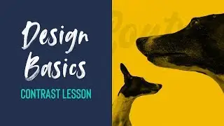 CONTRAST LESSON | Design Basics Episode 6