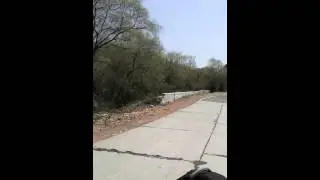 Beautiful buffer zone Sariska
