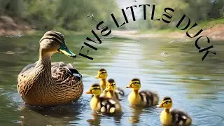 5 LITTLE DUCK RHYMES | LITTLE DUCK | COLORFUL RHYMES | DUCK RHYMES | KIDS RHYMES | ENGLISH RHYMES