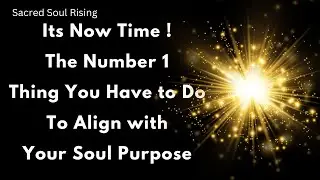 The Number 1 Thing to do to Align with Soul Purpose - When You Do this it changes everything !!