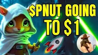 PNUT COIN UPDATE IN HINDI | PNUT COIN BIG DUMP | PNUT LONGT OR SHORT