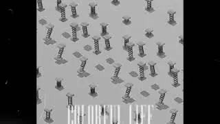 Colorful Life - CEEJ