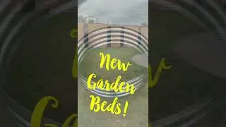 We have new raised beds! #schoolgarden #growingkids #gardeningwithstudents #studentgarden
