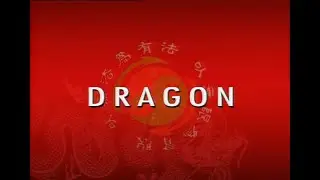 Bruce Lee: The Curse of the Dragon