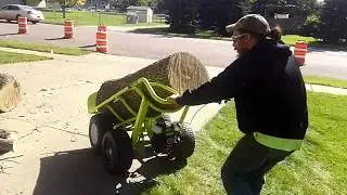 Matt's Tree Service Motorized Log Dolly