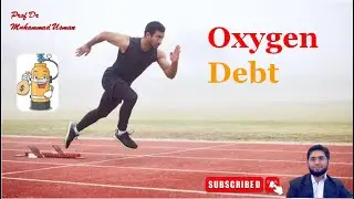 Oxygen Debt | Exercise Physiology | Physiology of Respiration