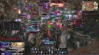 Conflict Boss fight 101 | Throne and Liberty