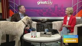 GDL: Everything you need know about pet liability coverage