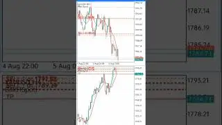Best 20 PIPs a Day Forex Strategy. $20 to $50000 in Just 30 Trades. 20 pip Forex Challenge on OctaFX