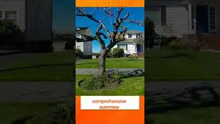 Revolutionizing Real Estate: The Power of Technology #alpinekansascity