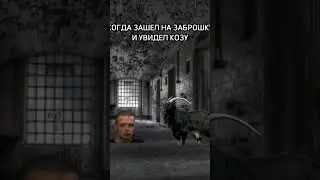 увидеть козу на заброшке ...