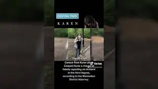 Central Park Karen (Amy Cooper) faces charge in the third degree according to the Manhattan DA.