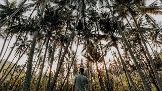 Bali 2018 Adventures in 4K | 1DX Mark II - Mavic Air - GoPro Hero 6
