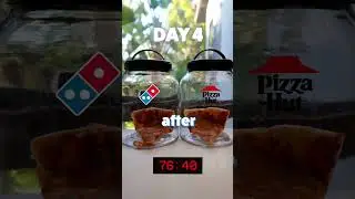 Какая пицца сгниёт быстрее всего? Pizza Hut против Dominos