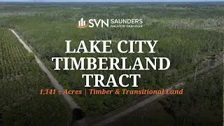Florida Timber & Transitional Land For Sale | Lake City Timberland Tract | 1,141 AC | Lake City, FL