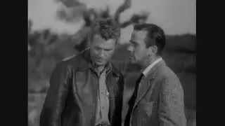 Charles Drake Steps on a Spider (implied) in It Came From Outer Space