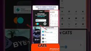 How to Connect $CATS Wallet with Bitget App #cats #catsairdrop #bitget #bitgetwallet #withdraw #okx