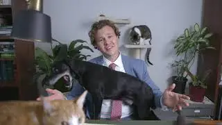 Pittsburgh's Lawyer - Disney Law