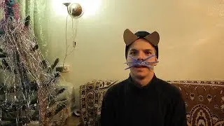 Catman