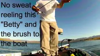 Bass fishing with the Ecooda Ranger 2500 spinning reel from Eposeidon.com