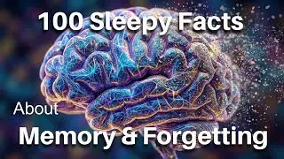 The Most Relaxing Facts About Memory & Forgetting
