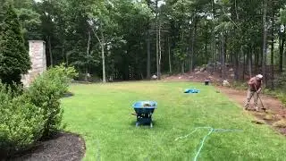 Grass removal transplant native pt 5