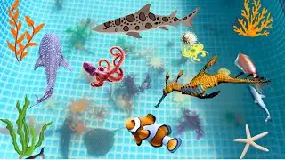 OCEAN WORLD IN THE POOL | Sharks, Octopus, Starfish WITH AARON @Angel and Aaron Play