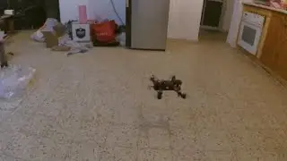 qav250 racing quadcopter test flight with emax MT1806  motors