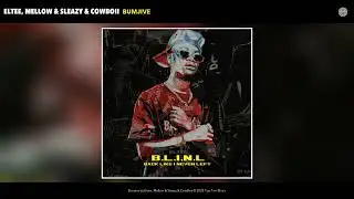 Eltee, Mellow & Sleazy & CowBoii - Bumjive (Official Audio)