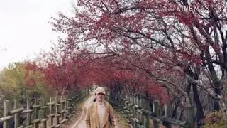 MV.จ้างมาสบตาทั้งชีวิต&หมากคิม