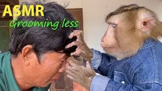 Big Boy Tin Grooming Grandpa By Hime One Hand, Grooming One One