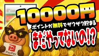 【まじかよ...】これで1万円はアツすぎる！PayPay・アマギフ・課金カード欲しい人は要チェック！【ポイ活】