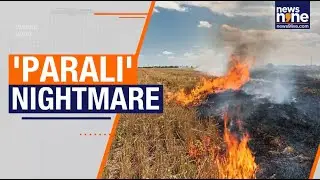 Stubble Burning Cases Rise In Punjab | AQI Still &lsquo;Poor&rsquo; Despite 40% Drop | News9