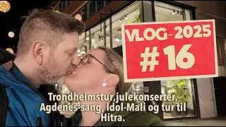 VLOG-2025 #16
