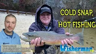 BANGIN' BROWNS, BASS & BLACKFISH - November 14, 2019 New England Fishing Report
