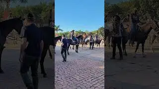 12 de janeiro de 2026