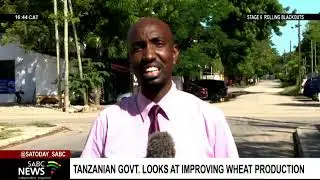 Tanzania government looks at improving wheat production