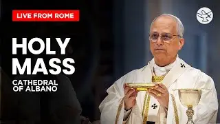 Holy Mass by Pope Leo XIV | From Albano Cathedral | LIVE from Italy