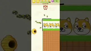 save the dog #download game app