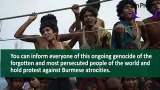 Rohingya || The Rise and Fall of Arakan